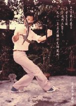 Master Wu Song Fa
